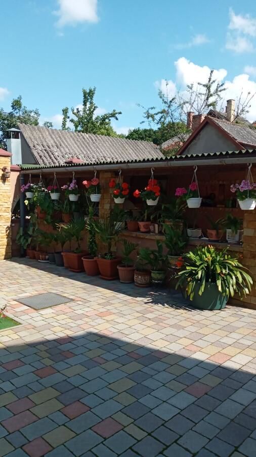 Гостевой дом Guest House Zhanna Берегово-9